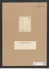 Achnanthes subsessilis Kuetz. (de-Toni-Nr.: Genus 43, Species 1925) Zeichnungen Sammlung Grunow Nr. 3825 (NHMW-BOT-W0371510)